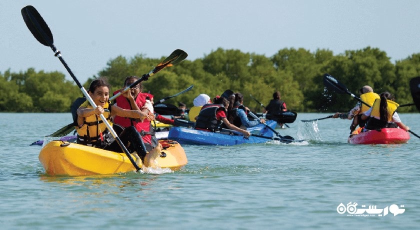 درختان کرنای اتاکیرا در دوحه -  شهر دوحه