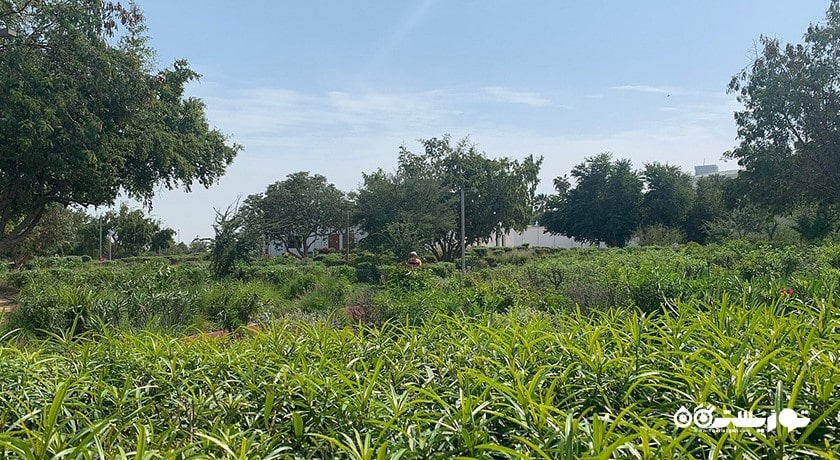 سرگرمی پارک البیدا شهر قطر کشور دوحه