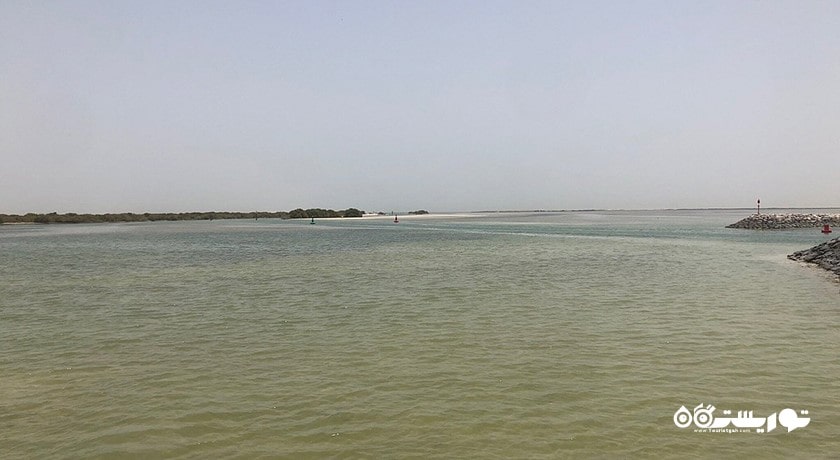 سرگرمی ساحل التکیرا شهر قطر کشور دوحه