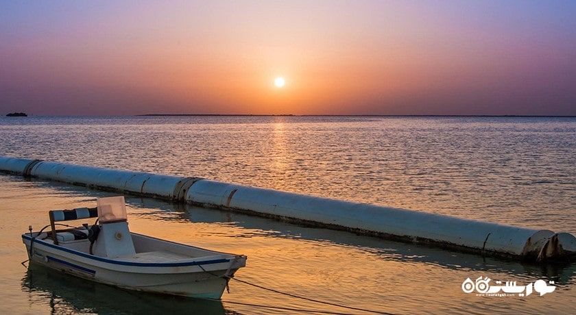 سرگرمی ساحل التکیرا شهر قطر کشور دوحه