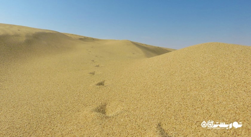 سرگرمی خور العدید (اینلند سی) شهر قطر کشور دوحه