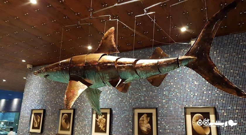 رستوران رستوران لوزار سیفود مارکت شهر دوحه 