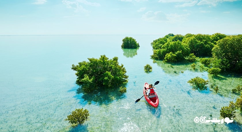 سرگرمی کایاک سواری در جنگل های حرای التکیرا شهر قطر کشور دوحه