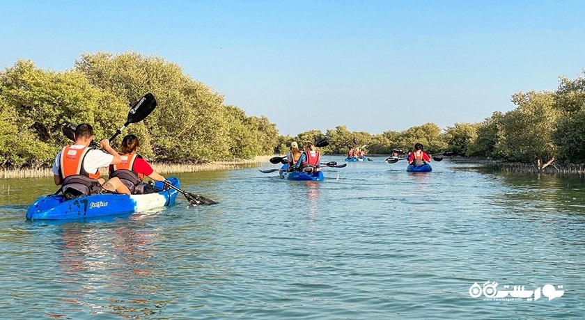 سرگرمی کایاک سواری در جنگل های حرای التکیرا شهر قطر کشور دوحه
