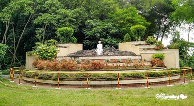 سرگرمی باغ گیاه شناسی اکو پارک شهر بلغارستان کشور وارنا