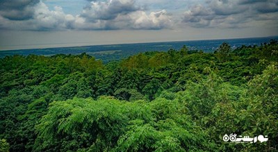 باغ گیاه شناسی اکو پارک -  شهر وارنا