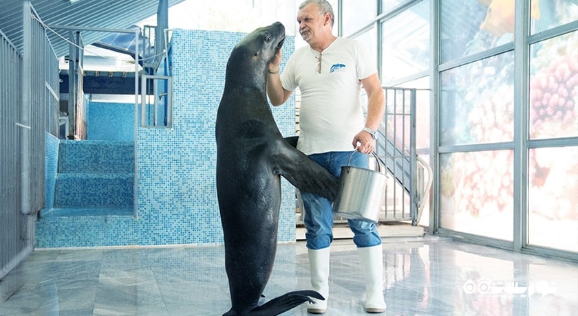 سرگرمی دلفیناریوم وارنا شهر بلغارستان کشور وارنا