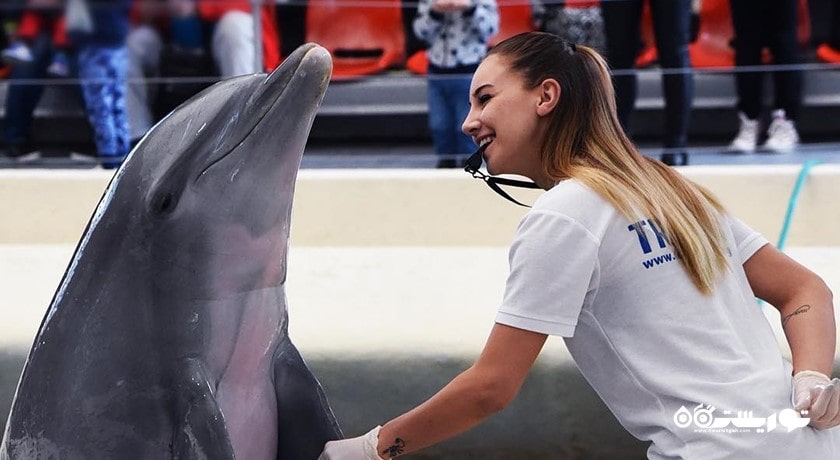 سرگرمی دلفیناریوم وارنا شهر بلغارستان کشور وارنا