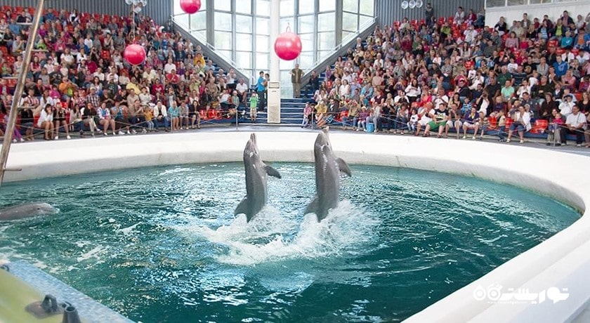 سرگرمی دلفیناریوم وارنا شهر بلغارستان کشور وارنا