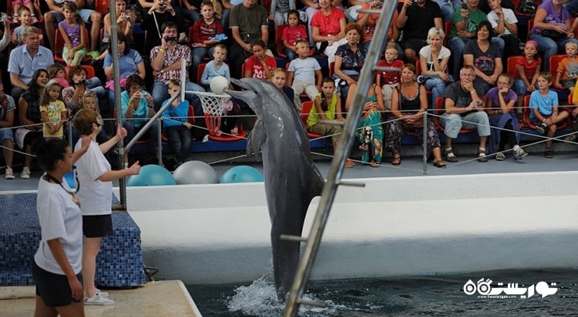 سرگرمی دلفیناریوم وارنا شهر بلغارستان کشور وارنا