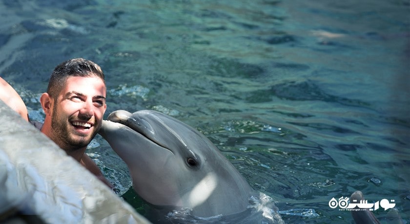 دلفیناریوم وارنا -  شهر وارنا