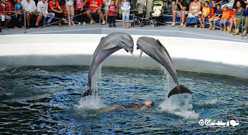 سرگرمی دلفیناریوم وارنا شهر بلغارستان کشور وارنا