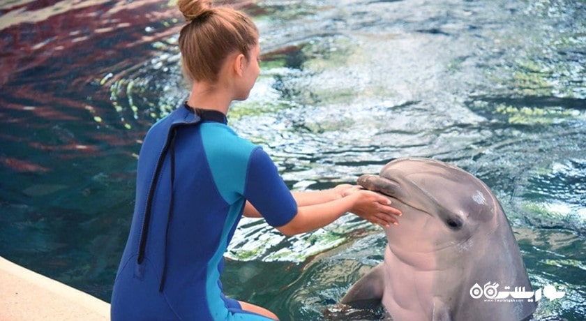 دلفیناریوم وارنا -  شهر وارنا