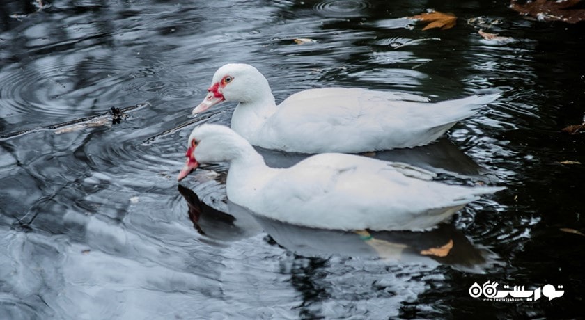 سرگرمی زو پارک وارنا شهر بلغارستان کشور وارنا