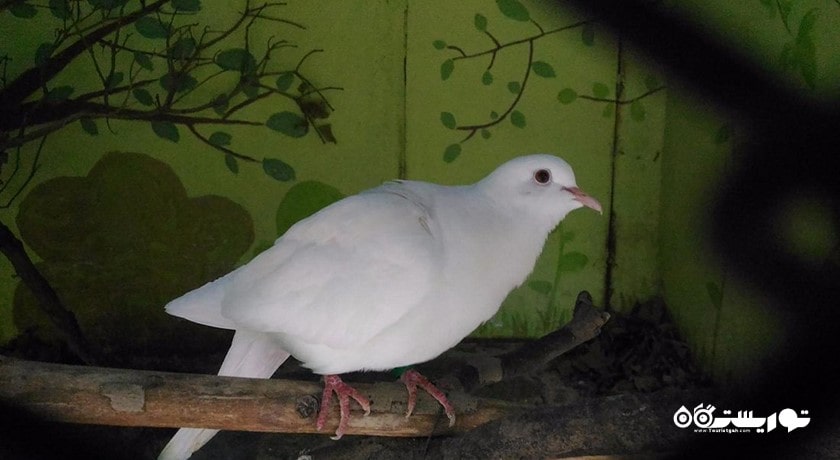 سرگرمی زو پارک وارنا شهر بلغارستان کشور وارنا