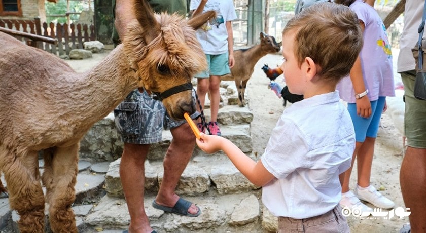 سرگرمی زو پارک وارنا شهر بلغارستان کشور وارنا