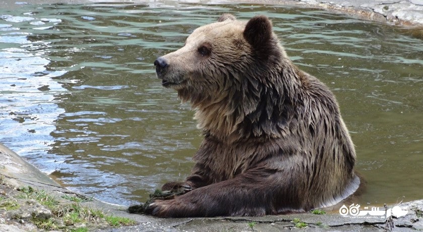 سرگرمی زو پارک وارنا شهر بلغارستان کشور وارنا