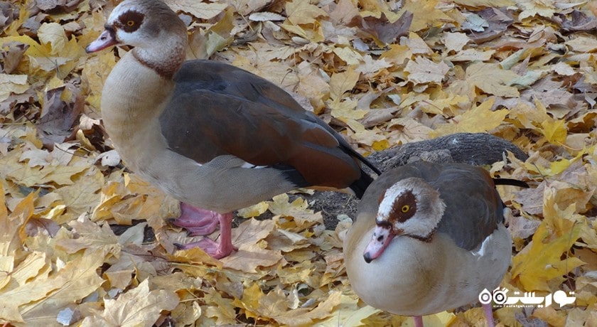 زو پارک وارنا -  شهر وارنا