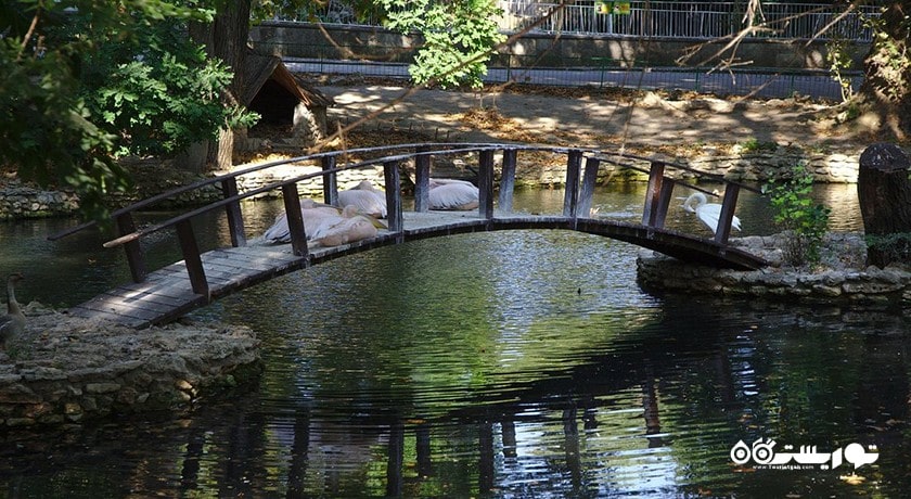 سرگرمی زو پارک وارنا شهر بلغارستان کشور وارنا