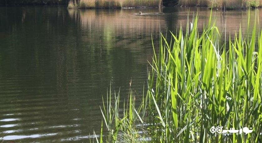  دریاچه وارنا شهر بلغارستان کشور وارنا