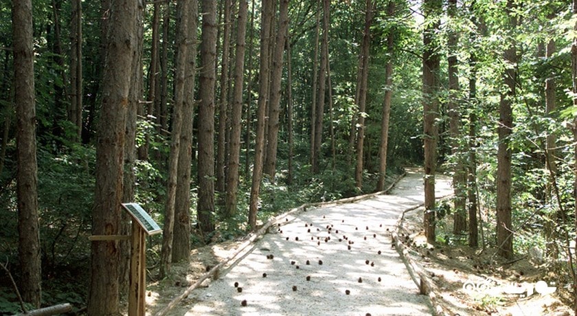 سرگرمی پارک طبیعت گلدن سندز شهر بلغارستان کشور وارنا