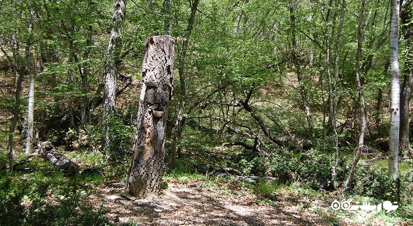 سرگرمی پارک طبیعت گلدن سندز شهر بلغارستان کشور وارنا