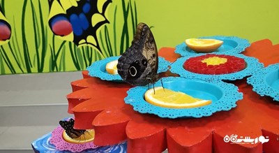  خانه پروانه وارنا شهر بلغارستان کشور وارنا