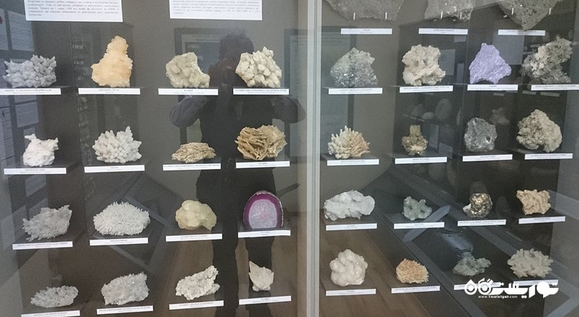  موزه تاریخ طبیعی شهر بلغارستان کشور وارنا