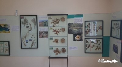 موزه تاریخ طبیعی شهر بلغارستان کشور وارنا