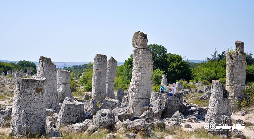  جنگل سنگی شهر بلغارستان کشور وارنا