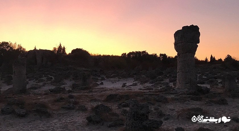  جنگل سنگی شهر بلغارستان کشور وارنا