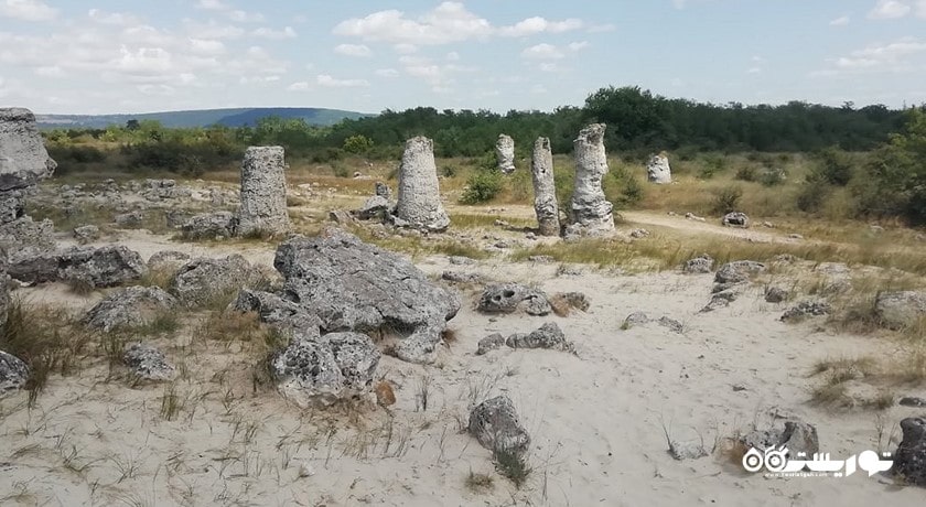  جنگل سنگی شهر بلغارستان کشور وارنا