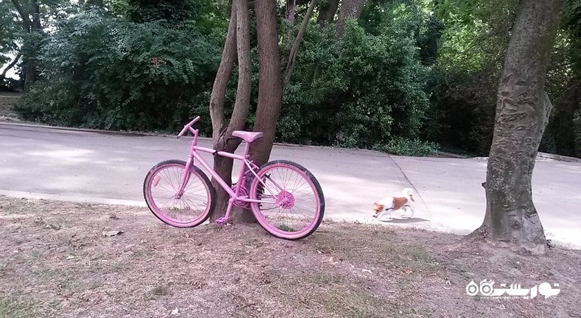 سرگرمی مجموعه ورزشی سی گاردن شهر بلغارستان کشور وارنا