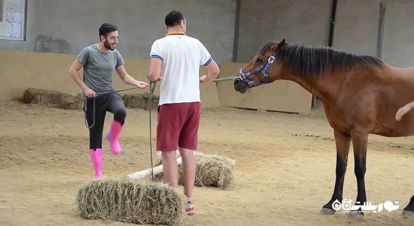 سرگرمی دهکده فاناگوریا شهر بلغارستان کشور وارنا