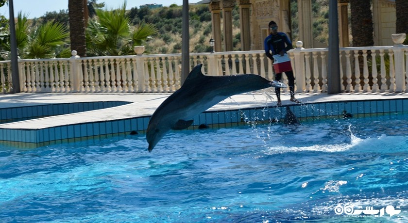 پارک دلفین آدالند -  شهر کوش آداسی