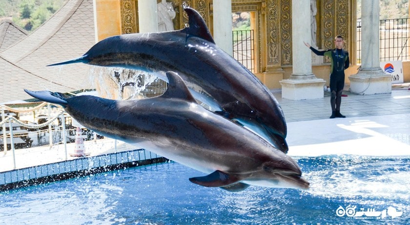 سرگرمی پارک دلفین آدالند شهر ترکیه کشور کوش آداسی