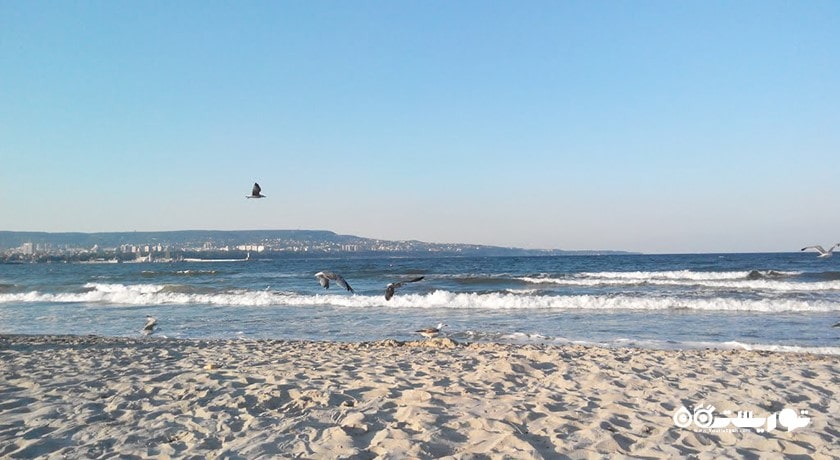 ساحل آسپاروهوو -  شهر وارنا