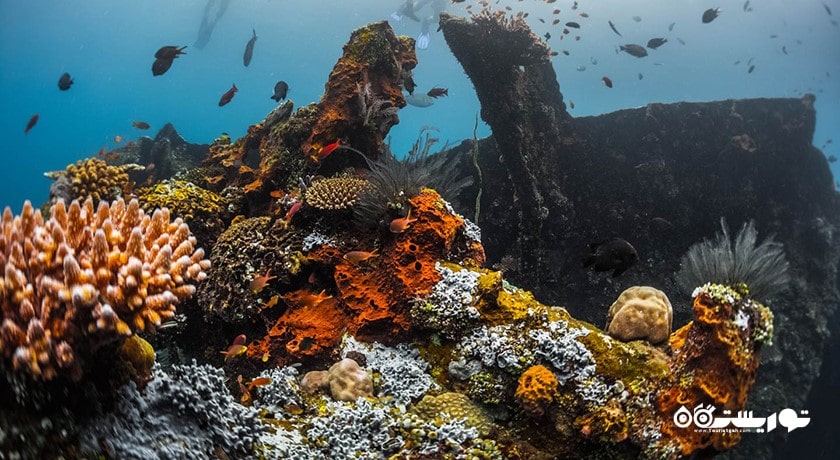  دهکده تولامبن شهر اندونزی کشور بالی