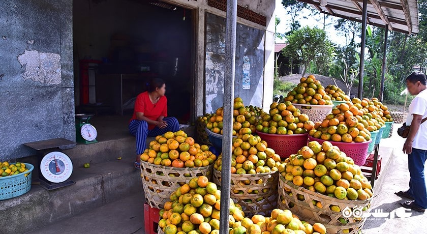  دهکده سیدمن شهر اندونزی کشور بالی
