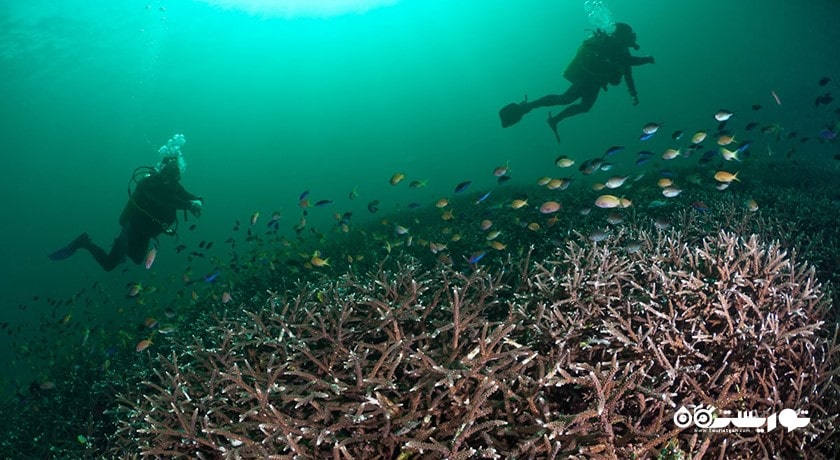  پادانگ بی شهر اندونزی کشور بالی