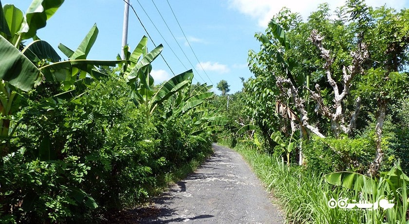  جزیره نوسا پنیدا شهر اندونزی کشور بالی