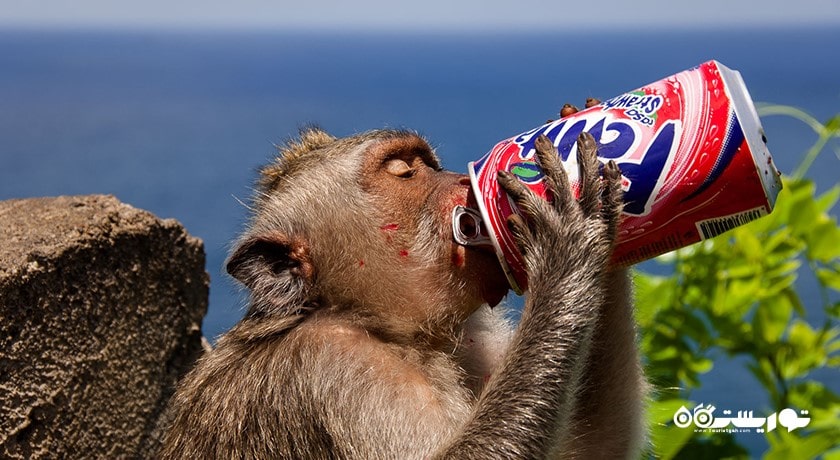  معبد اولوواتو شهر اندونزی کشور بالی