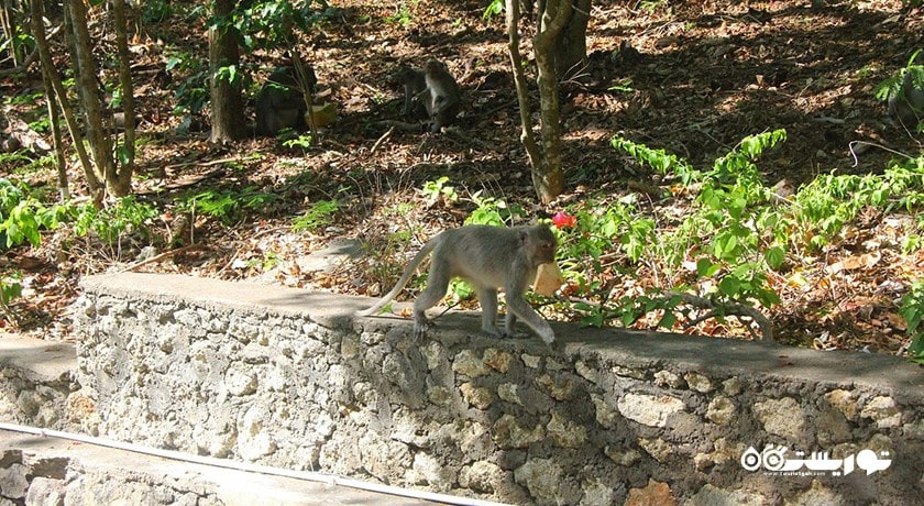  معبد اولوواتو شهر اندونزی کشور بالی