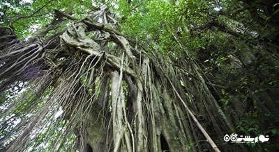  معبد کهن شهر اندونزی کشور بالی