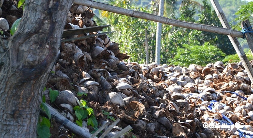  معبد گوآ لاوا شهر اندونزی کشور بالی