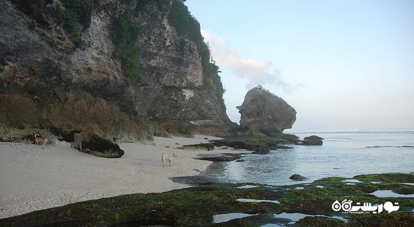 سرگرمی ساحل سولوبان شهر اندونزی کشور بالی