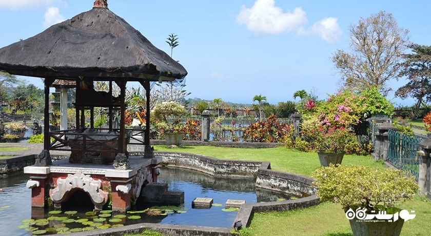  باغ آبی سلطنتی تیرتا گانگا شهر اندونزی کشور بالی