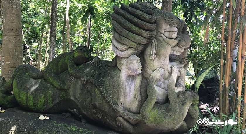  جنگل میمون های اوبود شهر اندونزی کشور بالی