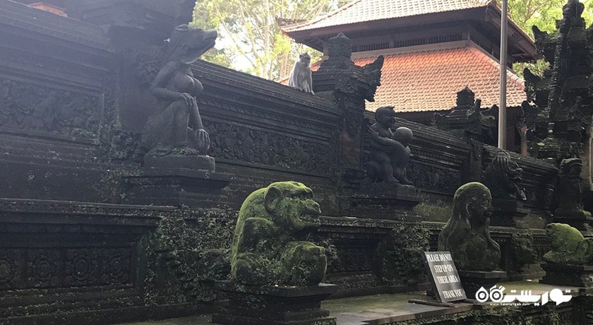  جنگل میمون های اوبود شهر اندونزی کشور بالی