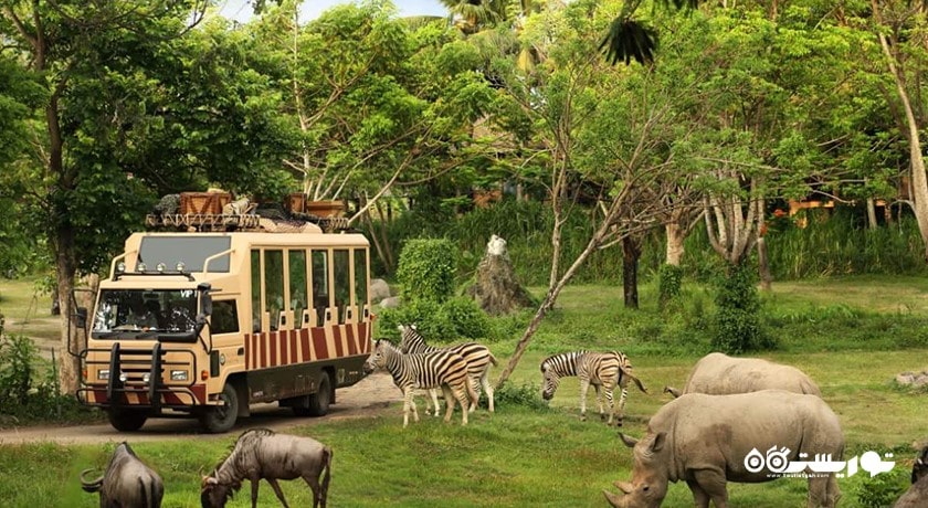  پارک دریایی و سافاری بالی شهر اندونزی کشور بالی